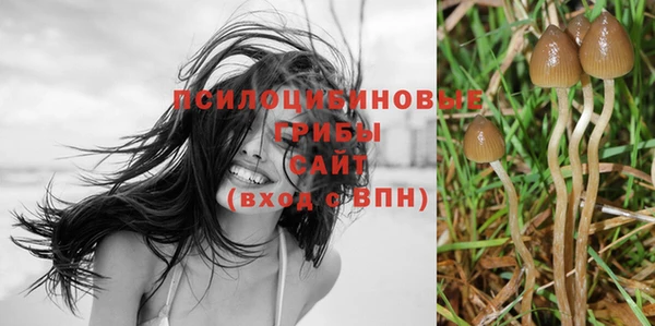 гидропоника Козловка