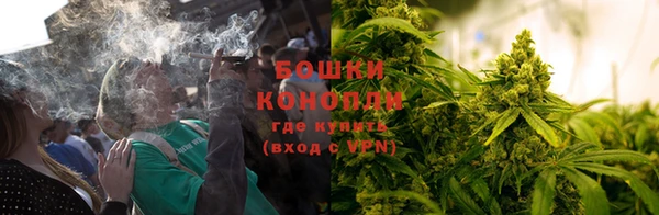гидропоника Козловка