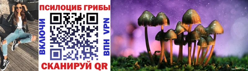 Купить  Балахна  Псилоцибиновые грибы MAGIC MUSHROOMS 